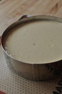 cheesecake (7)