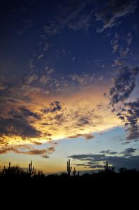 a-desert-horizon-saija-lehtonen