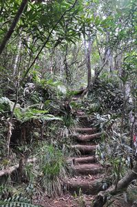 Piton Mont Vert 3