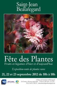 Affiche_FL12_bd.jpg