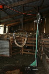 IMG_2211---.JPG