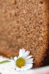 gâteau chocolat de Maja (15)