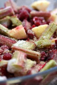 crumble rhubarbe fruits rouges (4) modifié-1