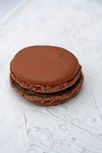 macaron vanille ou praliné (5) modifié-1
