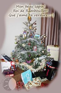 Sapin de Noël 2010