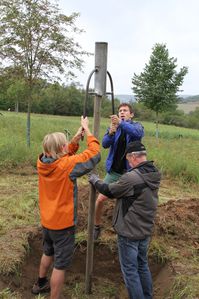 ObstbaumNaturfreunde 04 Pfahl einschlagen 02