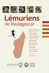 1-lemuriensdemdg-163x245.jpg