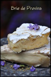 Brie-de-Provins-a.jpg