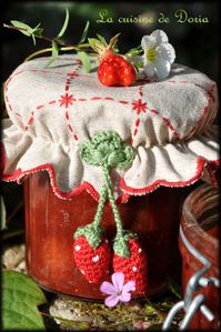 Confiture-a-la-fraise-et-rhubarbe-5a.jpg