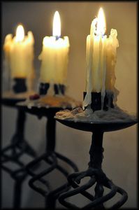 Moelleux-a-la-noisette-5a.jpg