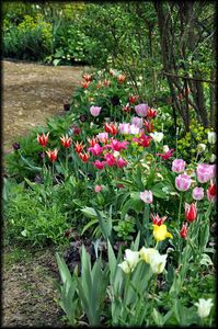 Jardin-Francois-37a.jpg