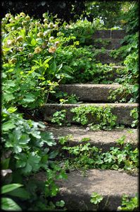 Jardin-Francois-42a.jpg