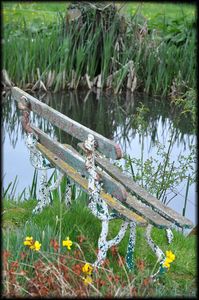 Jardin-Francois-45a.jpg