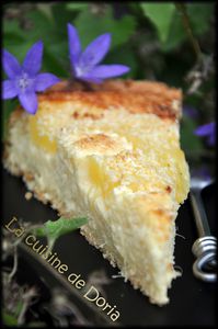 Gateau-ananas-et-noix-de-coco-4a.jpg