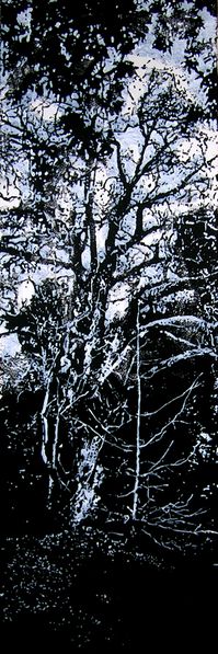 DSCN6757.JPG