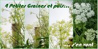 4 petites graines