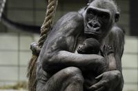 animaux-fun-043-copie-2.jpg