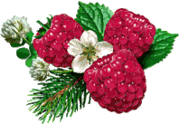 gif framboises 2