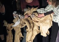 IMG 4361
