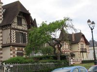 Cabourg maison 2