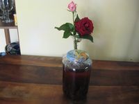 Liqueur d'abricot 2