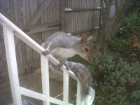 IMG-20111118-00352--1--copie-1.jpg