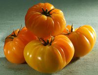 tomate-ananas-zLE243N.jpg