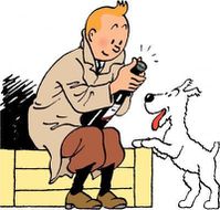 tintin champagne
