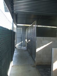martos5.jpg