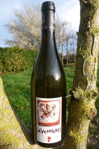SAVENNIERES_2008.jpg