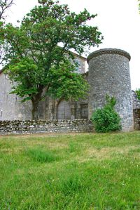 DSC3325