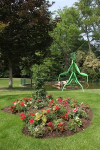 Scenes-de-nature1.jpg