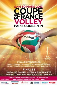 volleyfinales-coupe-de-france2013.jpg
