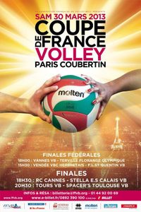 volleyfinales-coupe-de-france2013.jpg