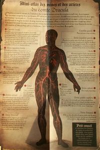 Journal-d-un-vampire-Dracula-2.JPG