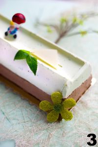 Buche-3.jpg