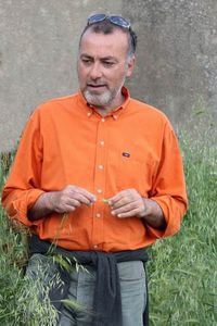 franco-arminio