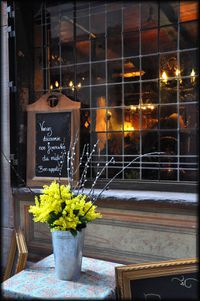 Fevrier-2010---Strasbourg-20.jpg