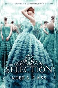 The-selection.jpg