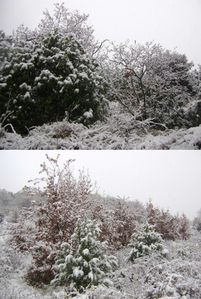 montner sous la neige 98