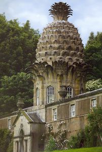 Dunmore House - The pineapple0001