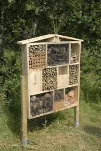 Hotel-insectes 30 ANST