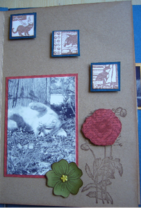 Projet12-copie-1