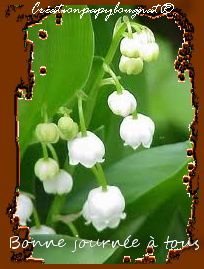 muguet-3m.jpg