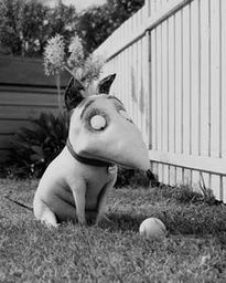 frankenweenie_photo.jpg