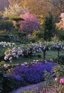 Giverny - Clos normand485