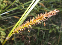 Photo-non-identifiée