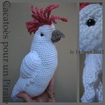 perroquet au crochet