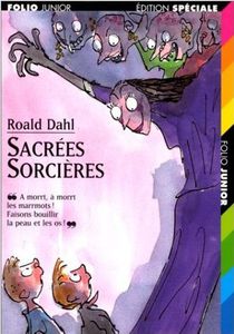 livres-sacrees-sorcieres-352.jpg