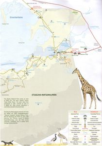 carte etosha 4